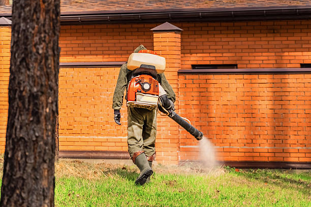 Trusted Bed Bug Control service in Kimball, TN - Nex Pest Control